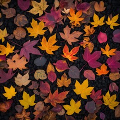 Obraz premium Autumn Leaves on Dark Ground