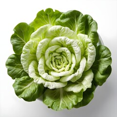Fototapeta premium Rose-Shaped Lettuce in Bowl