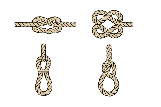 Various knot types including bowline, square knot, and clove hitch displayed in a clear vector style