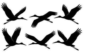 Obraz premium Stylized vector icon of flying birds in various poses against a white background illustrating nature and wildlife