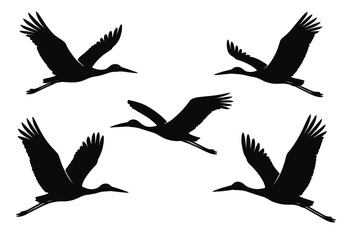 Obraz premium Stylized vector icon of multiple birds in flight showcasing elegant wing movements with a minimalist design element