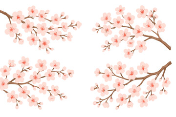 Floral vector icons showcasing cherry blossom branches with delicate pink flowers and simple brown twigs