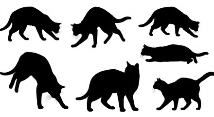 Obraz premium silhouettes of cats isolated on white background
