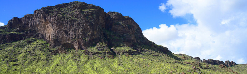 Sonora Desert Arizona Picacho Peak State Park