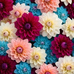 Obraz premium Colorful Dahlia Flowers Background