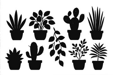Collection of vector icons featuring various potted plants including cacti, succulents, and leafy greens in stylish designs