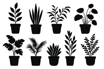 Vector icon collection of decorative plants in pots for home and garden decoration or landscaping use in design projects