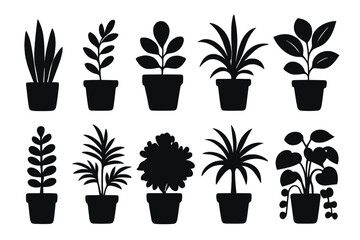 Collection of ten vector icons representing various indoor plants in pots for home decoration and gardening projects
