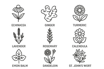 Herbs and flowers vector icons showcasing various medicinal plants and their significance in natural remedies