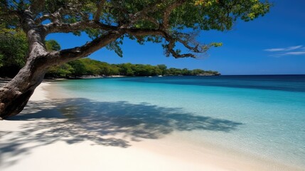 Tranquil beach scene. Lush foliage casts shade on the white sand. Turquoise water