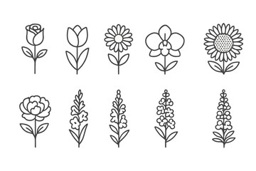 Line art vector icons of various flowers including rose, tulip, daisy, orchid, and more elegantly designed for floral themes