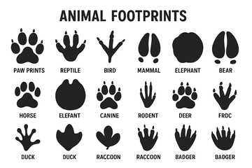 Illustration of various animal footprints showing distinct shapes for paw prints and tracks from different species including mammals and birds