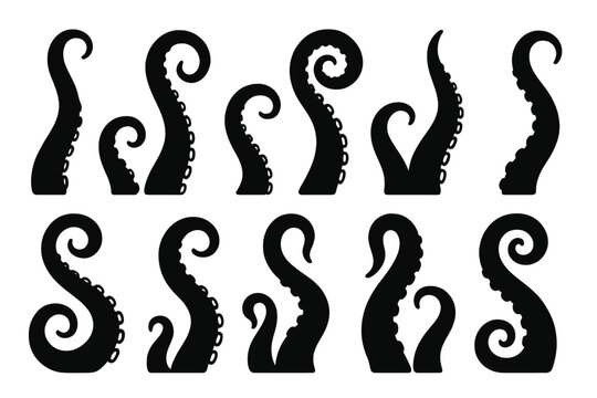 Various vector designs of black octopus tentacles with different shapes and sizes suitable for illustrations or patterns