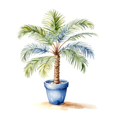 Obraz premium Small palm tree watercolor painting in a blue pot on a white background