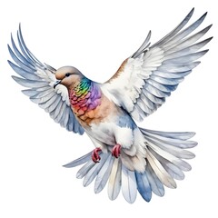 Fototapeta premium Rainbow Pigeon in Flight