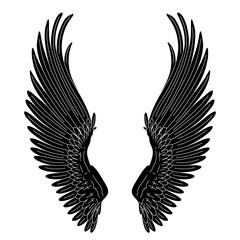 vector wings bird animal. Cartoon black and white clip art isolated on transparent background. Hand drown design element. 