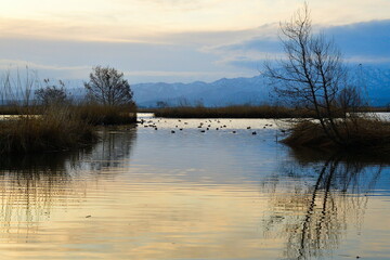 福島潟の朝（新潟県）