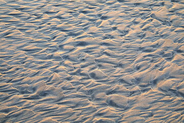 浜辺に出来た砂模様