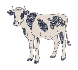 Line drawing of a cow with black patches, symbolizing agriculture and dairy farming.