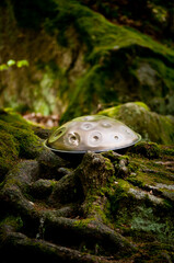 handpan outdoors near a waterfall