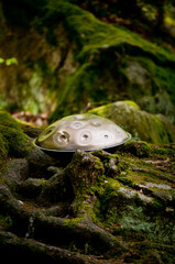 handpan outdoors near a waterfall