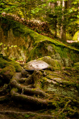 handpan outdoors near a waterfall
