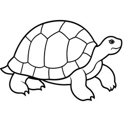 Tortoise Outline Vector Graphic