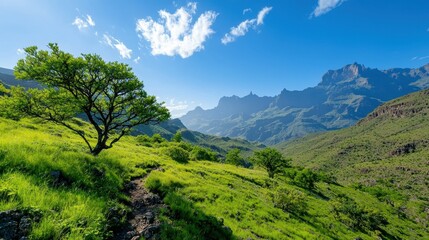 Naklejka premium Stunning mountain landscape with lush greenery and vibrant blue skies.