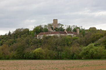 Ehrenberg Castle near Heinsheim in the Neckar Valley in Baden-Wuerttemberg, Germany, Europe