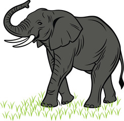 Obraz premium hand-drawn-elephant--illustration