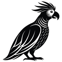 Fototapeta premium Elegant Stylized Black and White Parrot Illustration