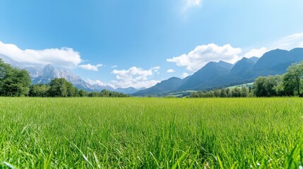 Fototapeta premium Lush green meadow stretches towards majestic mountains under a vibrant blue sky