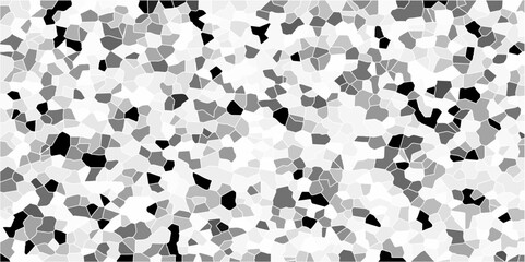 Terrazzo flooring texture polished stone pattern old pebble stones wall texture background. Silver Explosion Of Confetti. Modern with marble texture quartz surface bathroom or kitchen countertop.