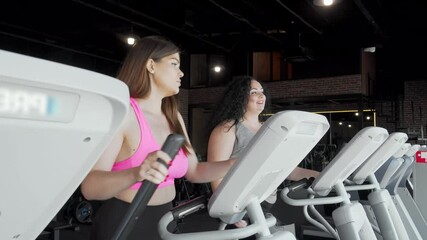 Two plus size women chatting and exercising on elliptical trainers at the gym