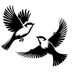 Obraz premium Majestic Birds in Flight: A Black and White Avian Masterpiece
