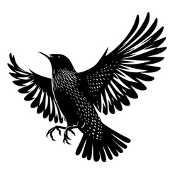 Obraz premium Majestic Bird in Flight: A Stunning Black and White Silhouette
