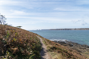 Chemin escarpé en bord de falaise avec vue sur la mer d’Iroise sous un ciel voilé.