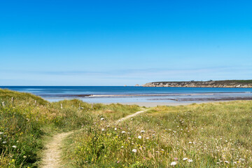 sentier, dunes, mer d’Iroise, presqu’île de Crozon, falaises, ciel bleu, Bretagne, nature, été, bord de mer