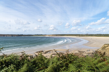 Grande plage de sable sur la presqu’île de Crozon, fougères au premier plan, ciel bleu parsemé de fins nuages blancs.