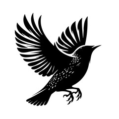 Fototapeta premium Majestic Bird in Flight: A Black and White Silhouette