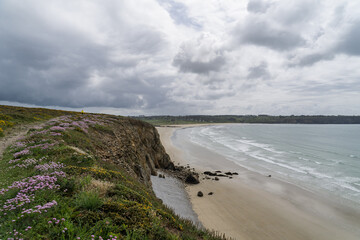  Entre ciel et mer, falaises bretonnes fleuries surplombant les eaux turquoise du printemps.