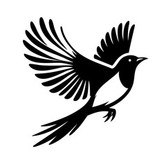 Obraz premium Majestic Bird in Flight: Black and White Avian Silhouette