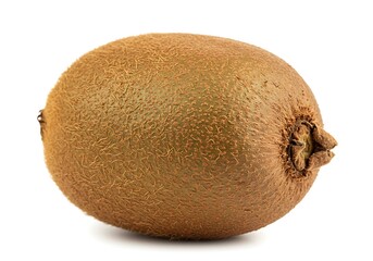 Fototapeta premium Close up shot of a single kiwi fruit with a brown fuzzy skin isolated on a white background studio shot