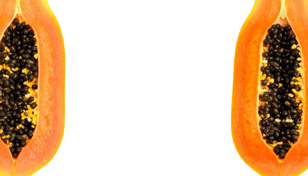 papaya fruit - banner with place for text, isolated on transparent background, png