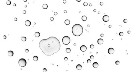 Transparent water drop bubbles isolated on background, perfect for moisture effects, clean product branding, refreshing skincare visuals, and summer hydration promotional designs