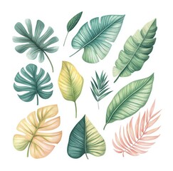 Fototapeta premium Explore a delightful assortment of detailed tropical leaves illustrated in soft muted pastel shades against a clean white background perfect for various creative projects