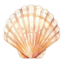 simple line of scallop closeup