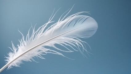 White Feather Macro with Soft Blue Background