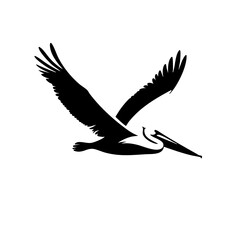 Obraz premium Majestic Pelican in Flight: A Stunning Black and White Bird Silhouette