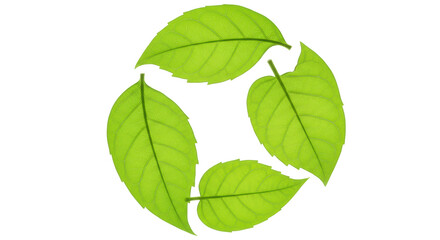 Isolated Recycling Leaves Symbol